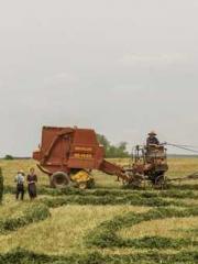 Rong Shao Nan Ning Y