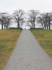 Eternal Sword Ancest