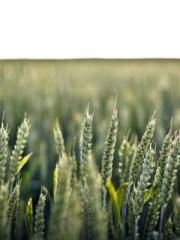 lt;lt;Waste Material