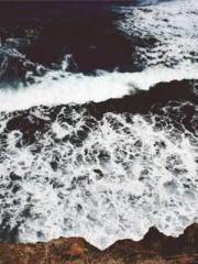 Reborn in 1989: Crea