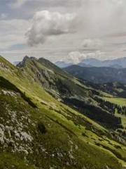 Meng Jinyu Gu Jingxi