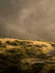 The Heavenly Physici