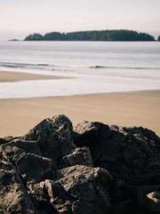 Celestial Eye: Peerl