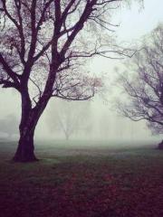 lt;The misfortune of