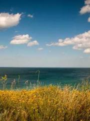 The Undefeated Son-i