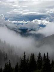 Rong Zhao, male, Nin