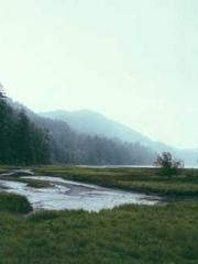 lt;lt;All in, my dec