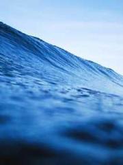 My rewards double au