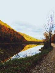 Super husband Lin Xi