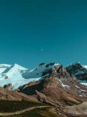 The Poisonous Doctor